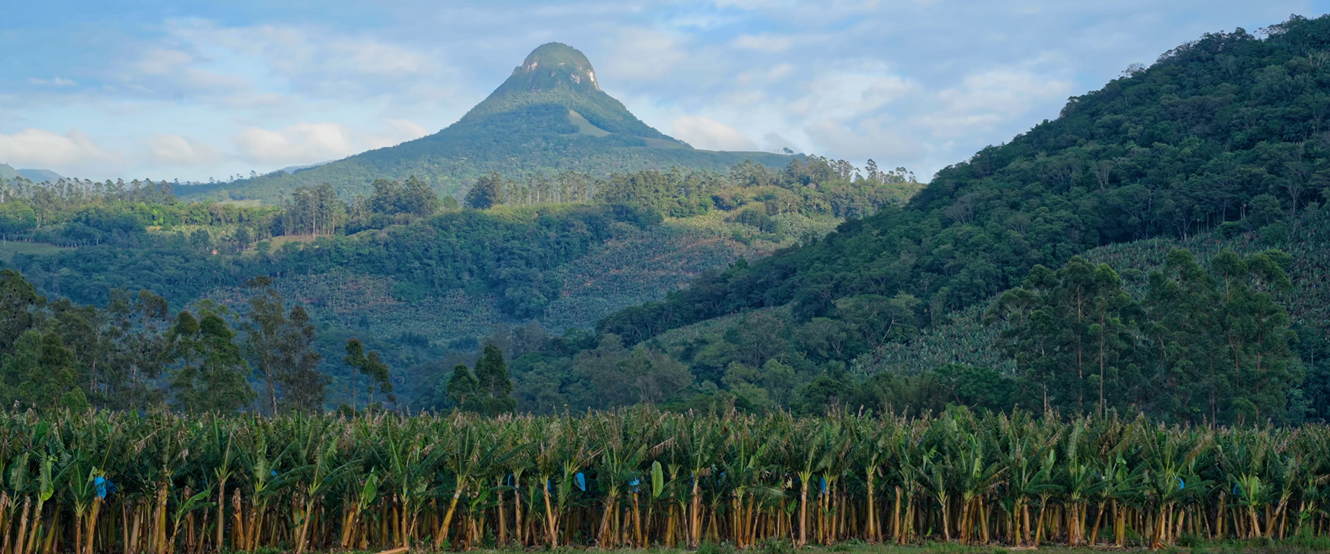 Morrinhos do Sul: o “Jalapão” Gaúcho