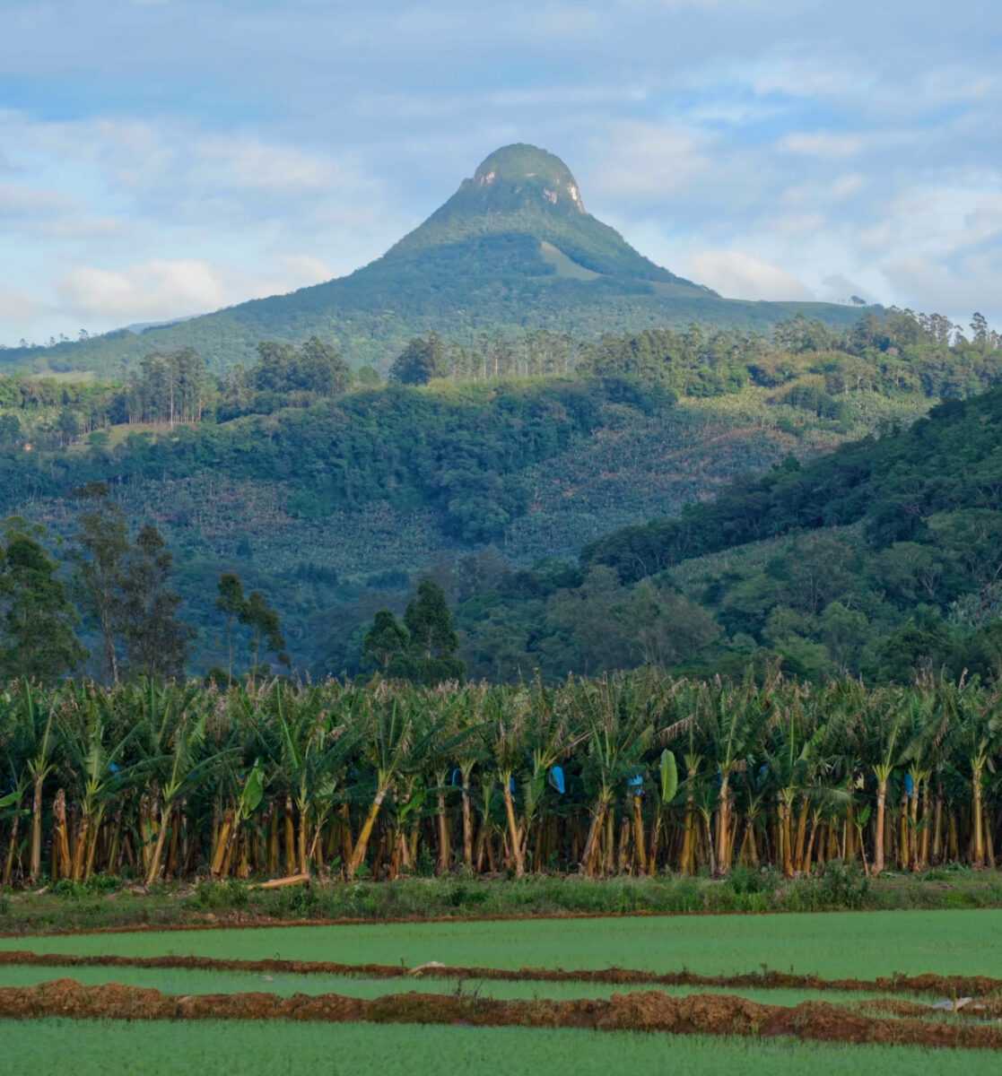 Morrinhos do Sul: o “Jalapão” Gaúcho